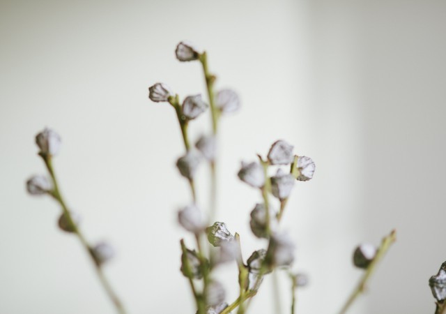 Lagom : comment appliquer l&rsquo;art de vivre suédois à la famille