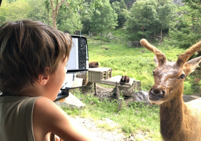 Notre road-trip famille en camping-car au Québec
